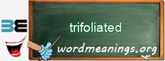 WordMeaning blackboard for trifoliated